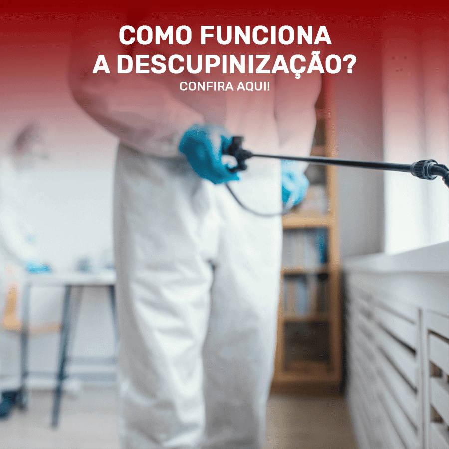 Como funciona a descupinização