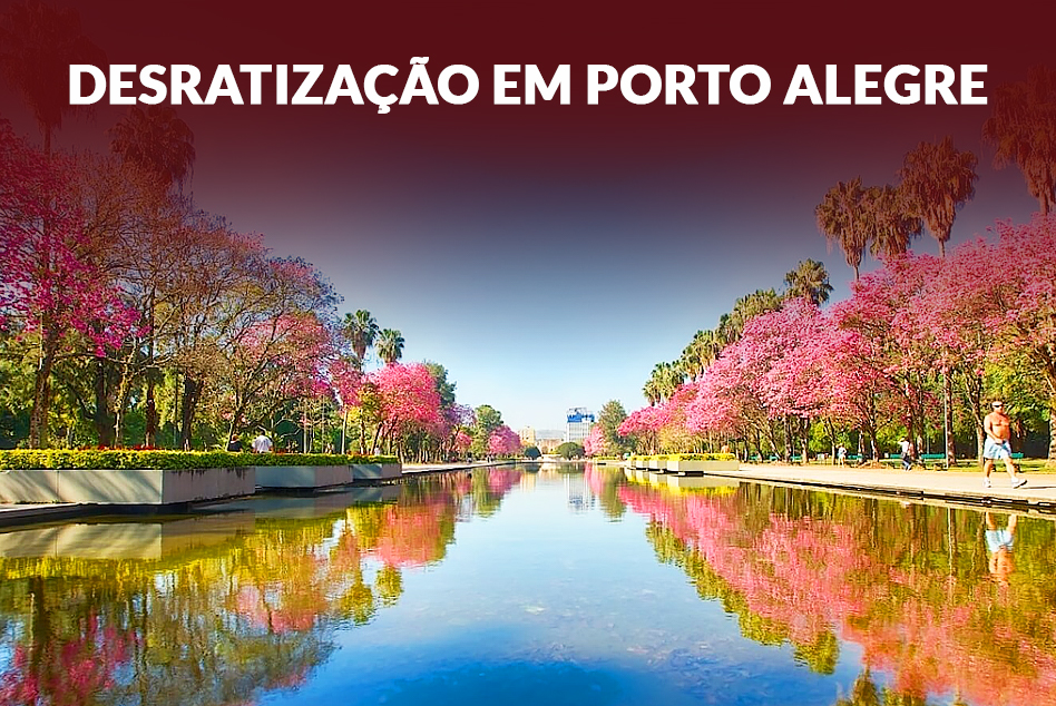 Desratização em Porto Alegre